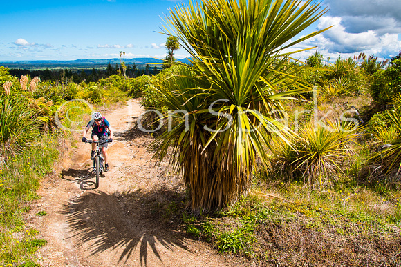 Timber Trail, New Zealand 2015 2