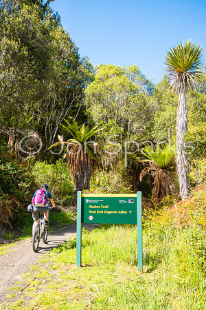 Timber Trail, New Zealand 2015 6