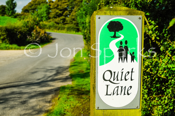 Quiet Lane