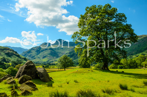 Langdale Pikes from Copt Howe 4