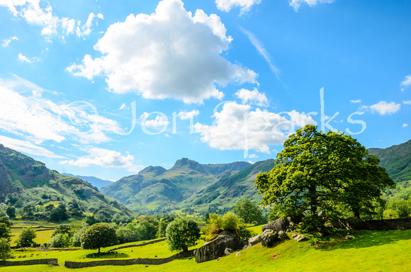 Langdale Pikes from Copt Howe 2